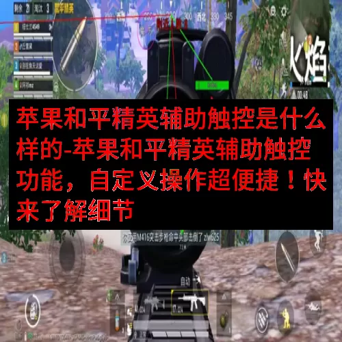 苹果和平精英辅助触控是什么样的-苹果和平精英辅助触控功能，自