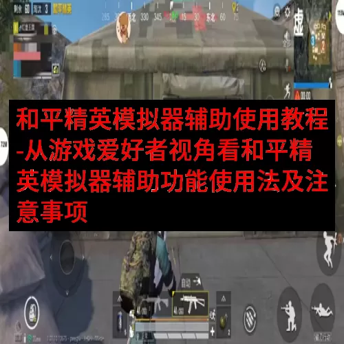 和平精英模拟器辅助使用教程-从游戏爱好者视角看和平精英模拟器