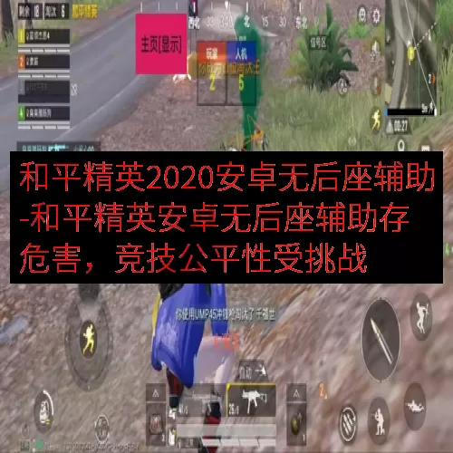 和平精英2020安卓无后座辅助-和平精英安卓无后座辅助存危害